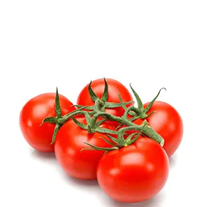 Strauchtomaten 500g Strauchtomaten 500g