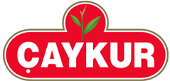 Caykur