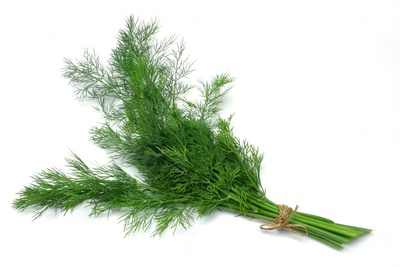 Dill Bund