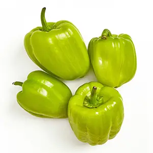 Dolma Biber - türk. Paprika 400g Dolma Biber - türk. Paprika 400g